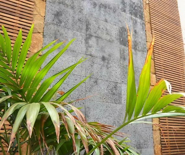 Casa Marinero With Private Pool * 罗萨里奥港