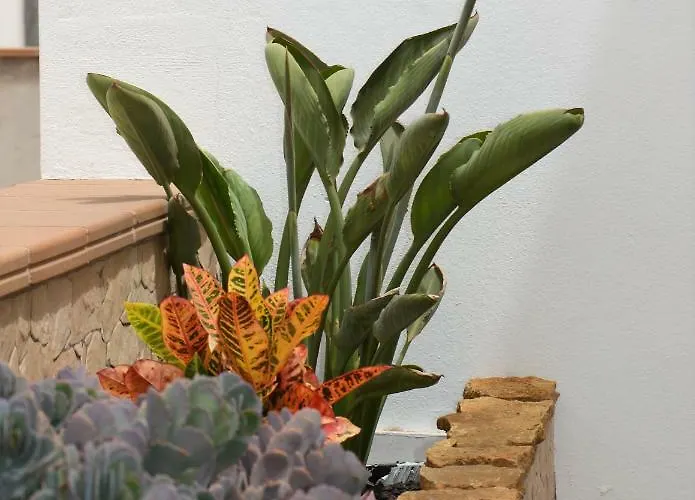 Casa Marinero With Private Pool